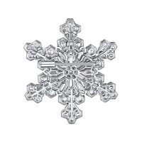 Брошь с бриллиантом - фото 2