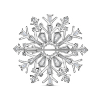 Брошь с бриллиантом - фото 2